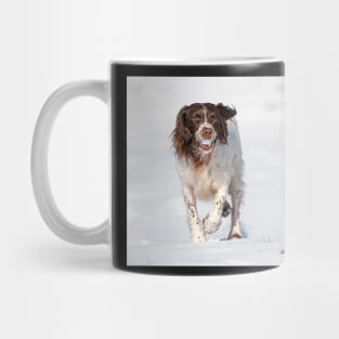 English Springer Spaniel Mug